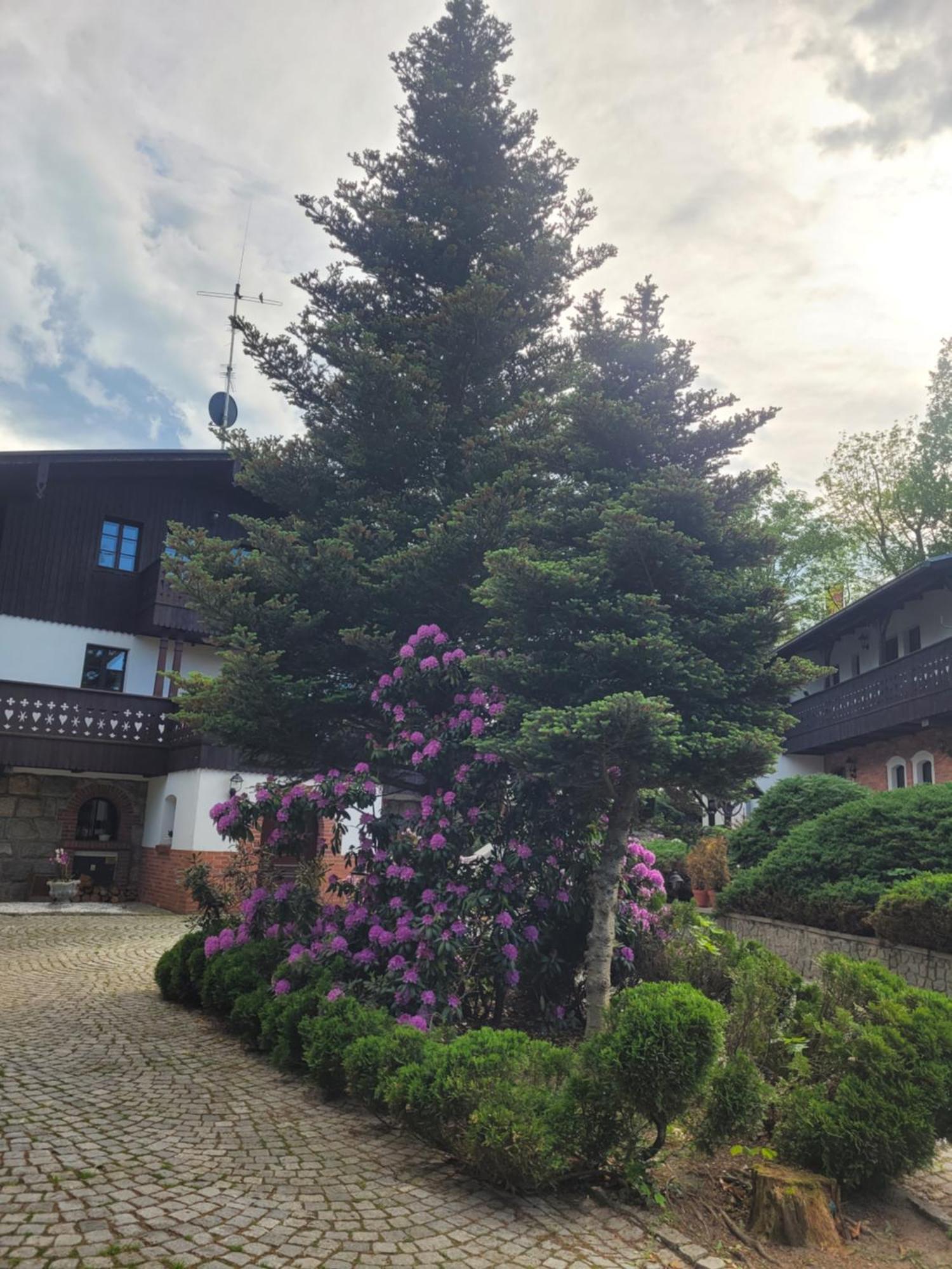 Hotel Gardenia Jelení Hora Exteriér fotografie